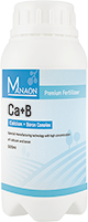 Ca+B
