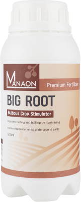 BIG ROOT