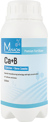 Ca+B