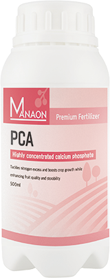 PCA